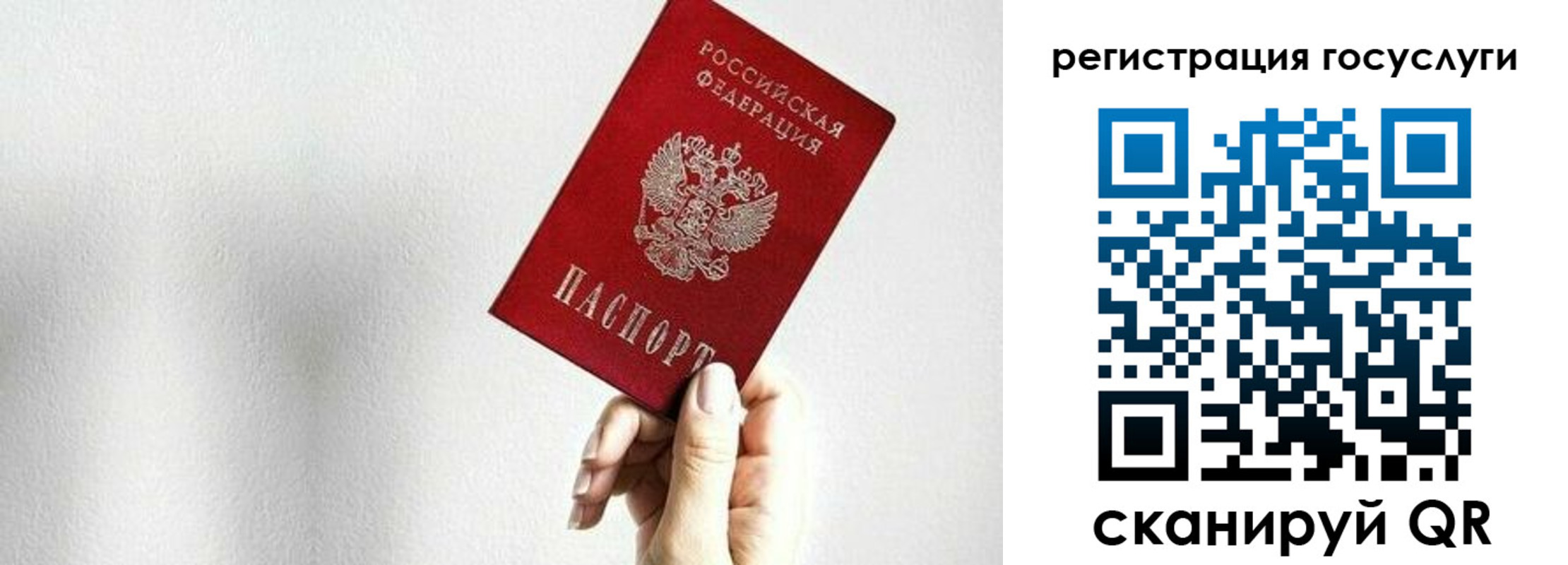прописка гарантия в Сальске